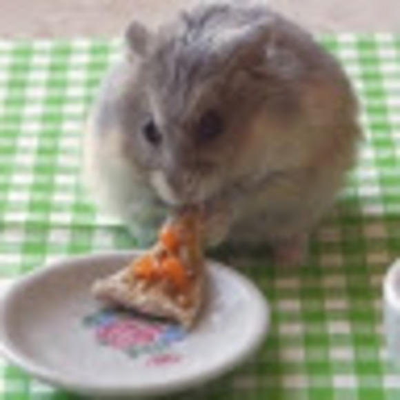 Meet your Posher, Pulari - Picture 1 of 1